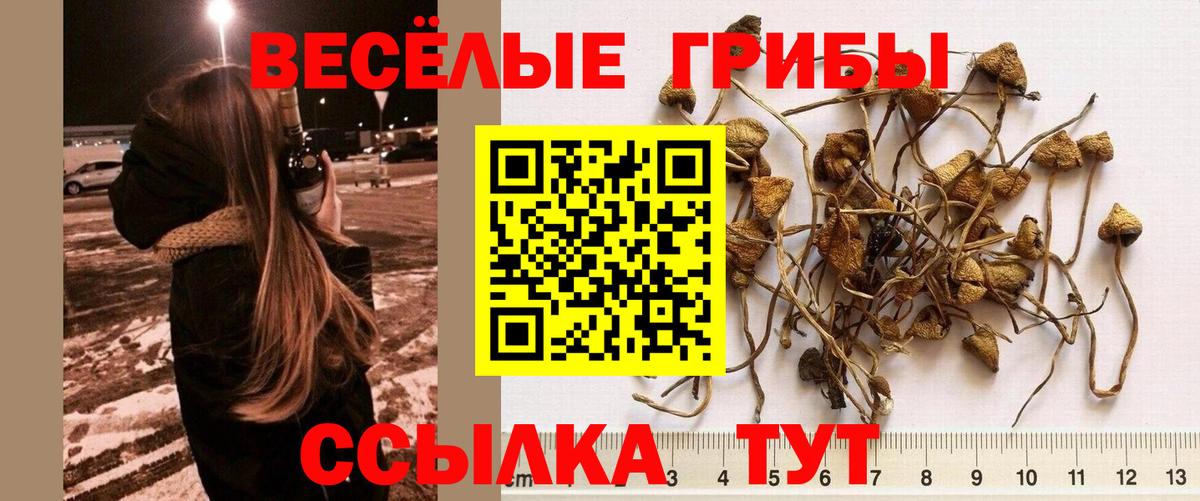 Галлюциногенные грибы ЛСД Стерлитамак