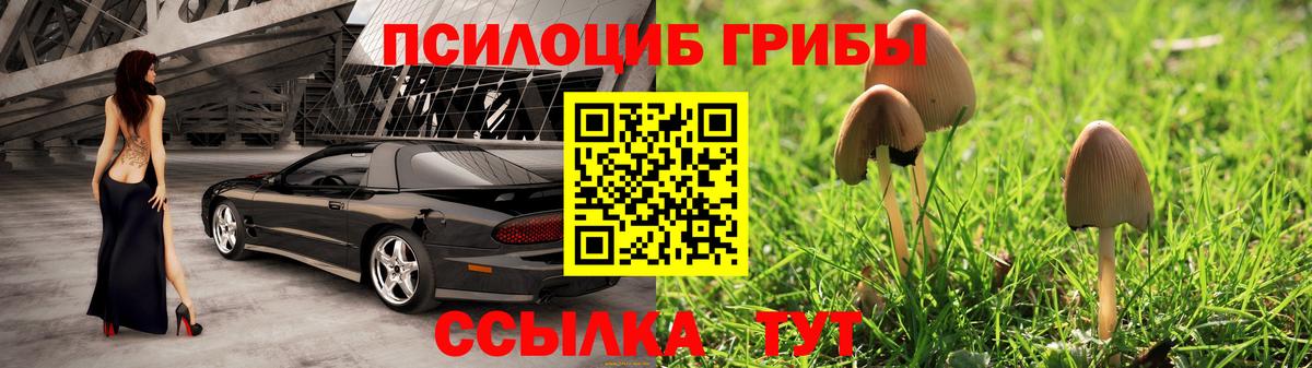 Псилоцибиновые грибы Psilocybine cubensis  Вход с VPN  Псилоцибиновые грибы MAGIC MUSHROOMS  наркота  Стерлитамак 